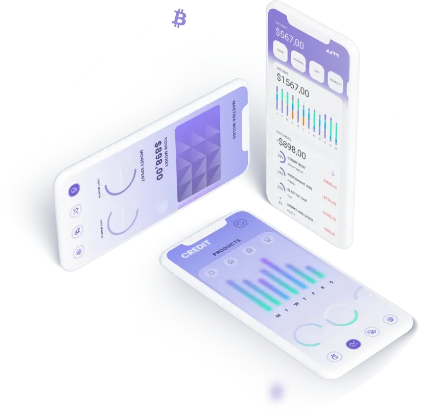 InovaRisePro - InovaRisePro Software - Transforming the Cryptocurrency Landscape